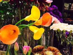 诚品书店(信义旗舰店)-诚品(信义店)