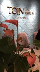 -东英经典SKIN&SPA