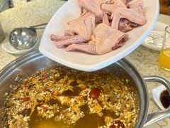 药膳乳鸽-百利鸽王(紫薇路店)