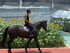 -迪茵湖田家舍生态农场