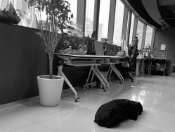 -周忆刺青原创设计定制