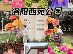 -西苑公园