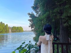 -东湖落雁景区