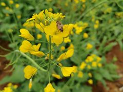 -宝晶宫旅游景区