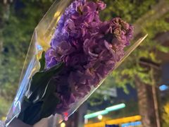 -循礼门鲜花花市(武汉循礼门店)