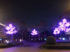 -深圳东部华侨城茵特拉根酒店