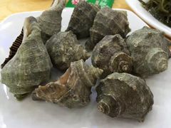 -海岛渔村大酒店(云霄路店)