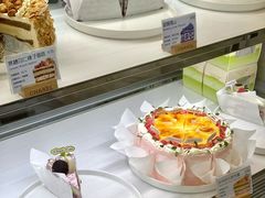 -夏佐CHASEL(横店康庄路店)