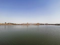 -东郊湿地公园