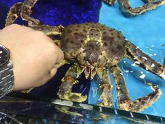 -渔人码头(洛溪店)