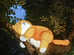 -西安电影制片厂