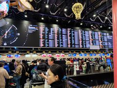 -谢列梅捷沃国际机场