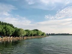 -丁香湖公园