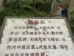 -上海佘山国家森林公园天马山园