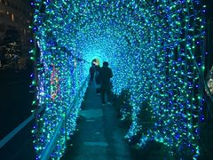 -别府杉乃井酒店