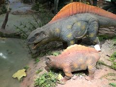 -湖南省地质博物馆