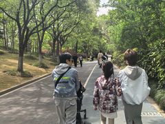 -吴淞炮台湾湿地森林公园烧烤区