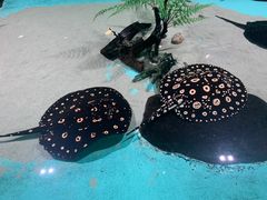 -台州海洋世界