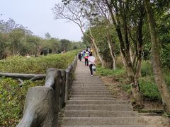 -梧桐山风景名胜区