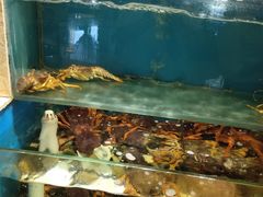 水产区-福娣·金沙银贝海鲜火锅