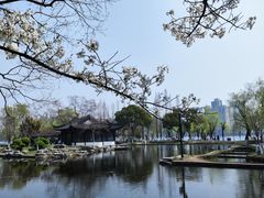 -莫愁湖公园