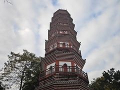 -中山公园(石岐街道)