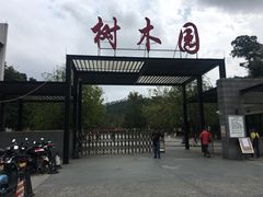 -中山市树木园