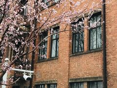 -桃花堤公园