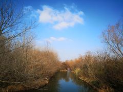 -溱湖国家湿地公园