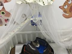 -丹景宠物医院·全科·老年病·牙科(武昌诊疗中心)