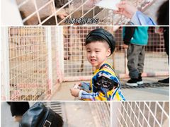 -J Create城市露营咖啡·简餐·宠物(上海动物园店)