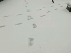 -满旗楼 北京烤鸭·涮羊肉火锅(武昌店)