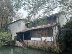 -西溪国家湿地公园