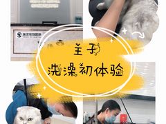 -瑞派新吉太郎宠物医院·重症转诊中心·泌尿道(嘉禾望岗院)