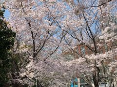 -上海体育场(地铁站)