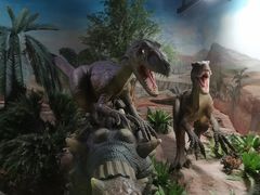 -国家自然博物馆