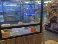 -宠物世家(仲盛世界商城店)