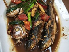 -友强·23年特色海鲜大排档(厦门店)