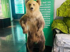 -昆明动物博物馆