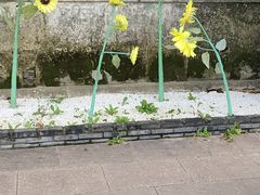 -云间粮仓
