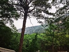 -北京上方山国家森林公园