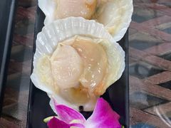 扇贝-丽江庭院之爱在路上(西单店)