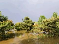 -永定河休闲森林公园