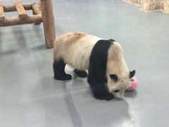 -无锡动物园·太湖欢乐园