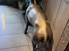 -可口香·非遗老号烧烤(南岗直营店)