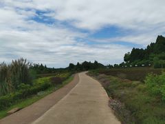 -中国香山·寿香谷