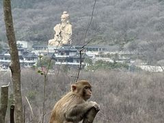 -句容茅山景区