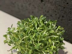 -浩爷羊蝎子火锅(望京店)