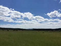 -塞罕坝国家级自然保护区