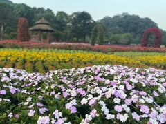 -广州市石门国家森林公园